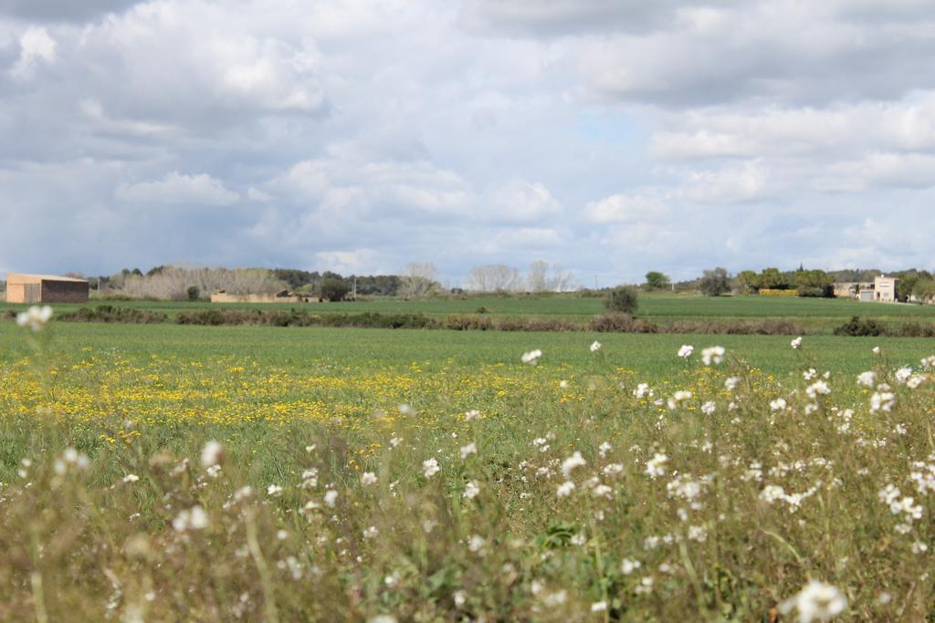 Allotjament Bora Bora Emporda Girona Lejlighed Verges Eksteriør billede